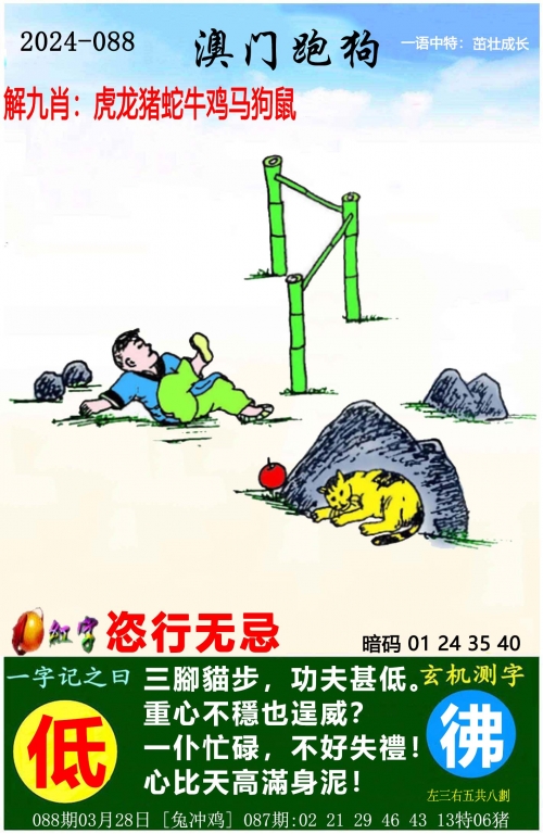 白小姐一码必中一码