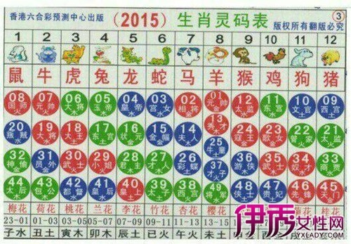 2024年买马生肖表揭秘-第2张图片